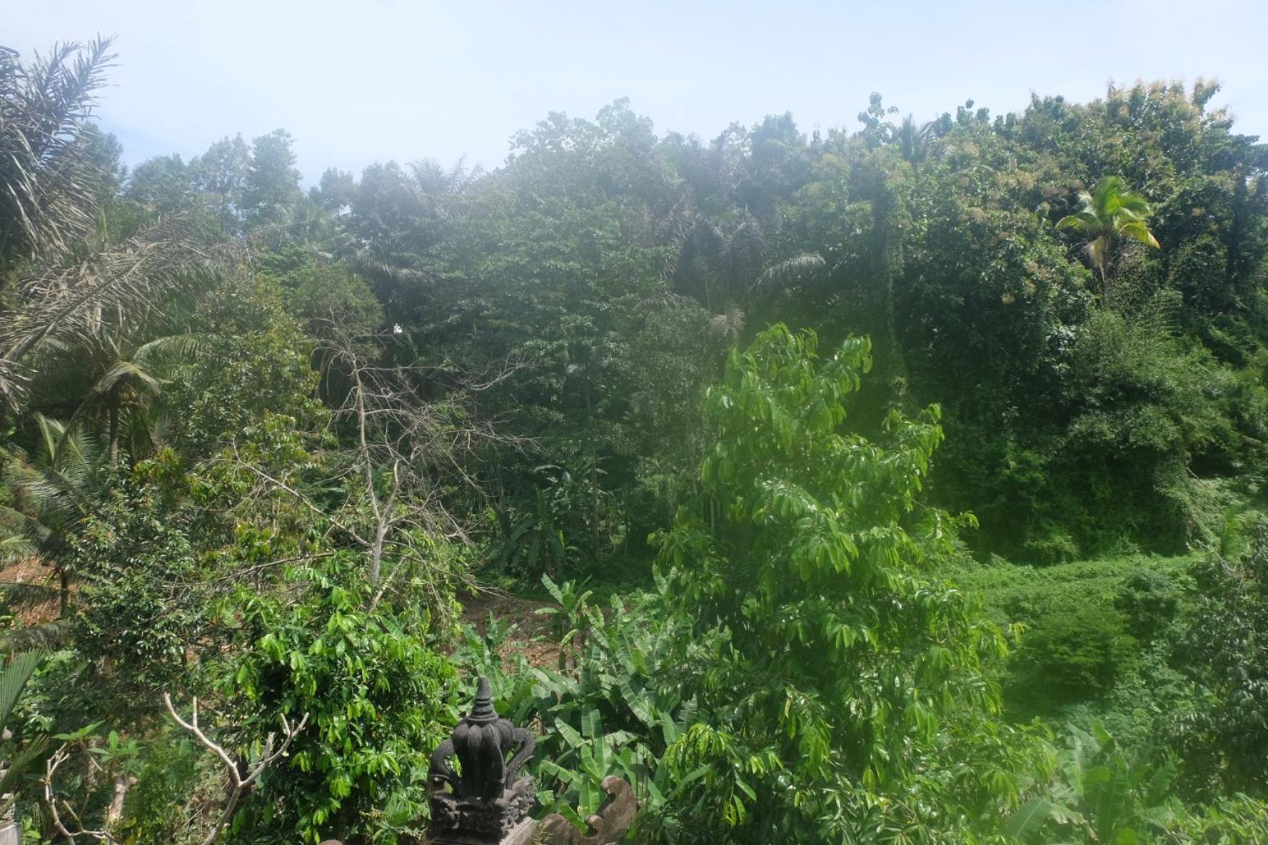 Villa Gunung Kawi House Tegallalang  Exterior foto